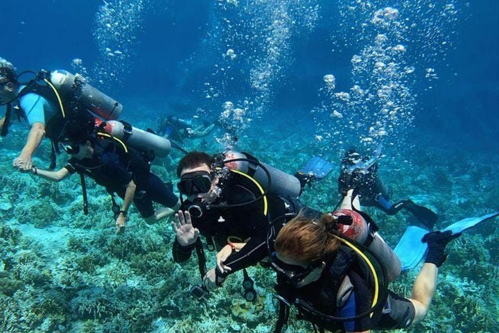 Scuba Diving in Dubai And UAE